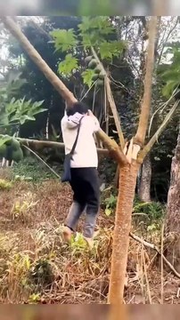 Funny video,funny memes,memes,funny videos,funny video,dank memes,best memes,funny,memes video,memes compilation,clean memes,unusual memes,funny vines,funny meme,tiktok memes,dank memes compilation,#comedy #comedyvideos #comedyreels #comedyclub #comedyvid