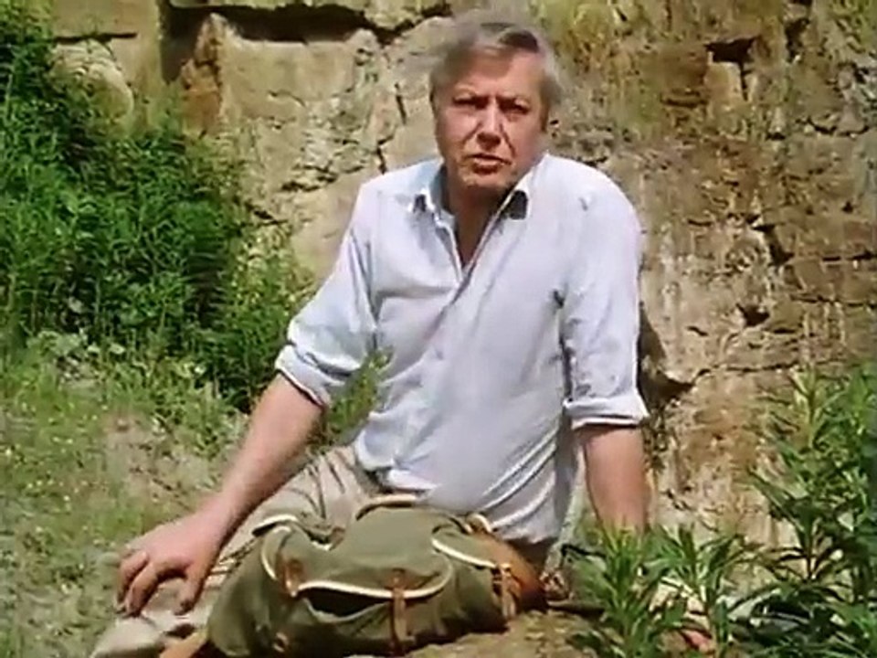 Magic in the Rocks (1989) David Attenborough on how Christians explain fossils