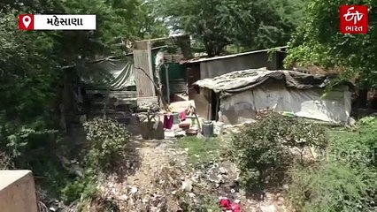 મહેસાણામાં ગેરકાયદે દબાણનો મુદ્દો ગાજ્યો, ખુદ ધારાસભ્યએ કરી કલેક્ટરને રજૂઆત