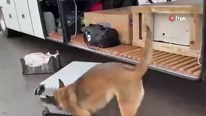 Narkotik madde arama köpeği HERA’dan kaçamadılar