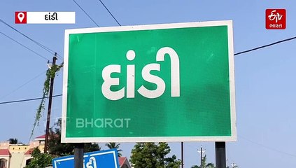 દાંડીના દરિયા કિનારેથી દુર્લભ પ્રજાતિની ડોલ્ફિનનો મૃતદેહ મળ્યો, વનવિભાગે કરી દફનવિધી