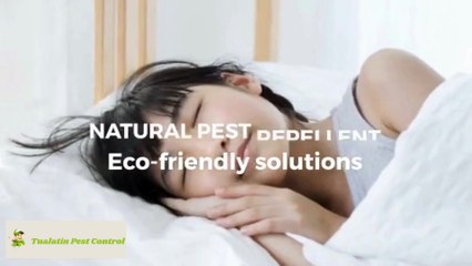 🧅 The Onion Trick to Keep Pests Out of Your Room – Shocking but Effective! 🐜🕷️🦟