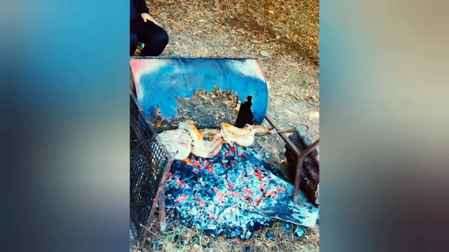 Humor chileno, fails chilenos, risas, caídas, solo pasa en Chile. Pariente #24