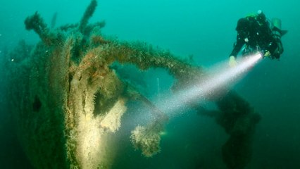 Diver bought £300 WW1 shipwreck on Facebook Marketplace