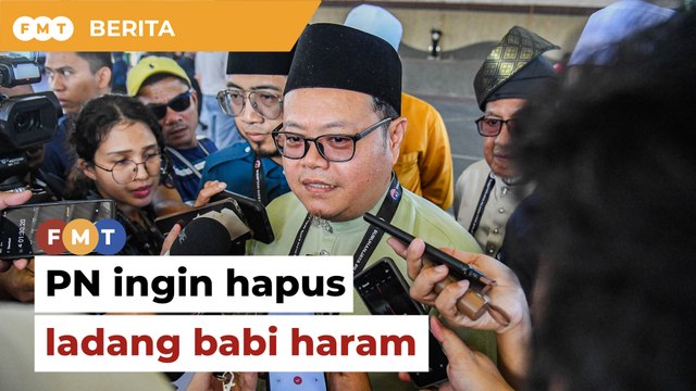 PRK Ayer Kuning: Calon PN tekad hapus ladang babi haram