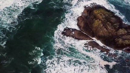 Tests comments and reacts (video edit)