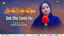 Sok Che Zanla Yar | Raheela Naz | Pashto New Song 2025