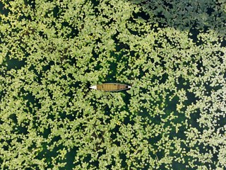 Gölbaşı Gölü Baharla Renkleniyor: Nilüferler ve Göçmen Kuşlar Şehri Canlandırıyor 🌸