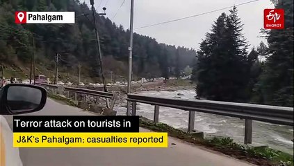 Tourist Killed In Terror Attack In Jammu And Kashmir's Pahalgam