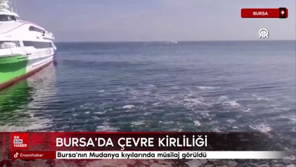 Bursa'nın Mudanya kıyılarında müsilaj görüldü