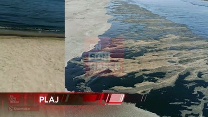 Birleşik Arap Emirlikleri'nde petrol sızıntısı: Plajlar kapatıldı