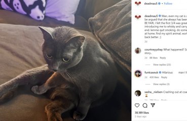 Deadmau5 wahrscheinlich nie wieder beim Coachella-Festival