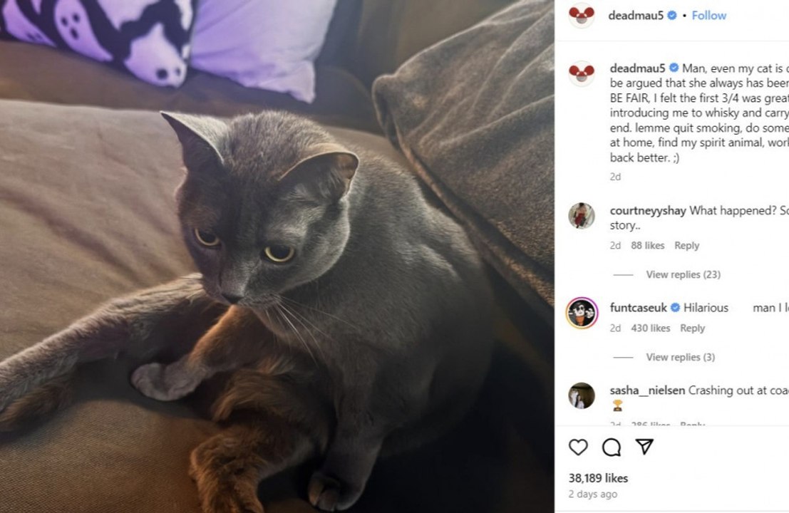 Deadmau5 wahrscheinlich nie wieder beim coachella-festival