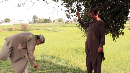 اس کو کہتے ہیں بندہ ڈھیٹ ہونا چاہیے عزت آنی جاتی چیز ہے