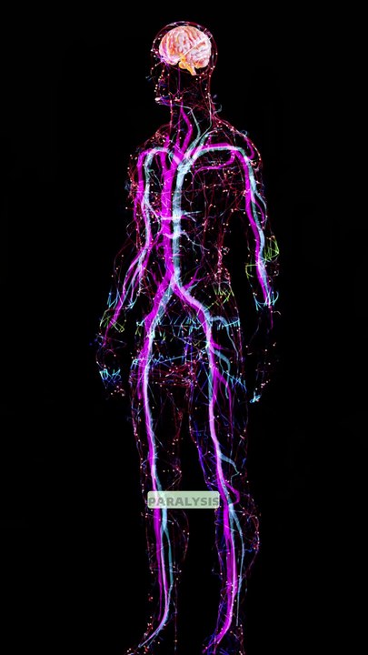 🦾 This AI Exoskeleton Walks to You! The Walk-On Suit Is Changing Lives! | Future of Paralysis Recovery