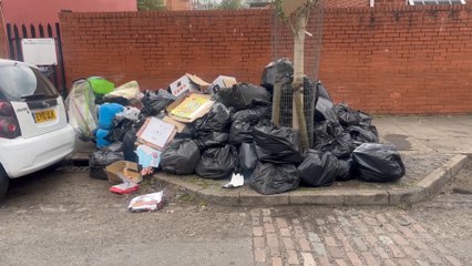 Calls for unity as Birmingham bin strike drags on