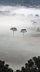 Vídeos mostram manhã com geada em uma das cidades mais frias de SC