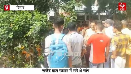 बिहार में बच्चों के पार्क में बोरी में बंद मिले 100 सांप, सोचिए कोई खोल देता तो क्या होता?