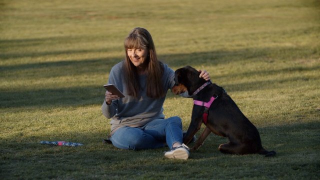 Airports Make Travel Delays More Palatable With Therapy Animals!