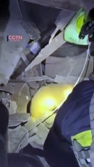 Dog rescued from rubble after attack on Sumy