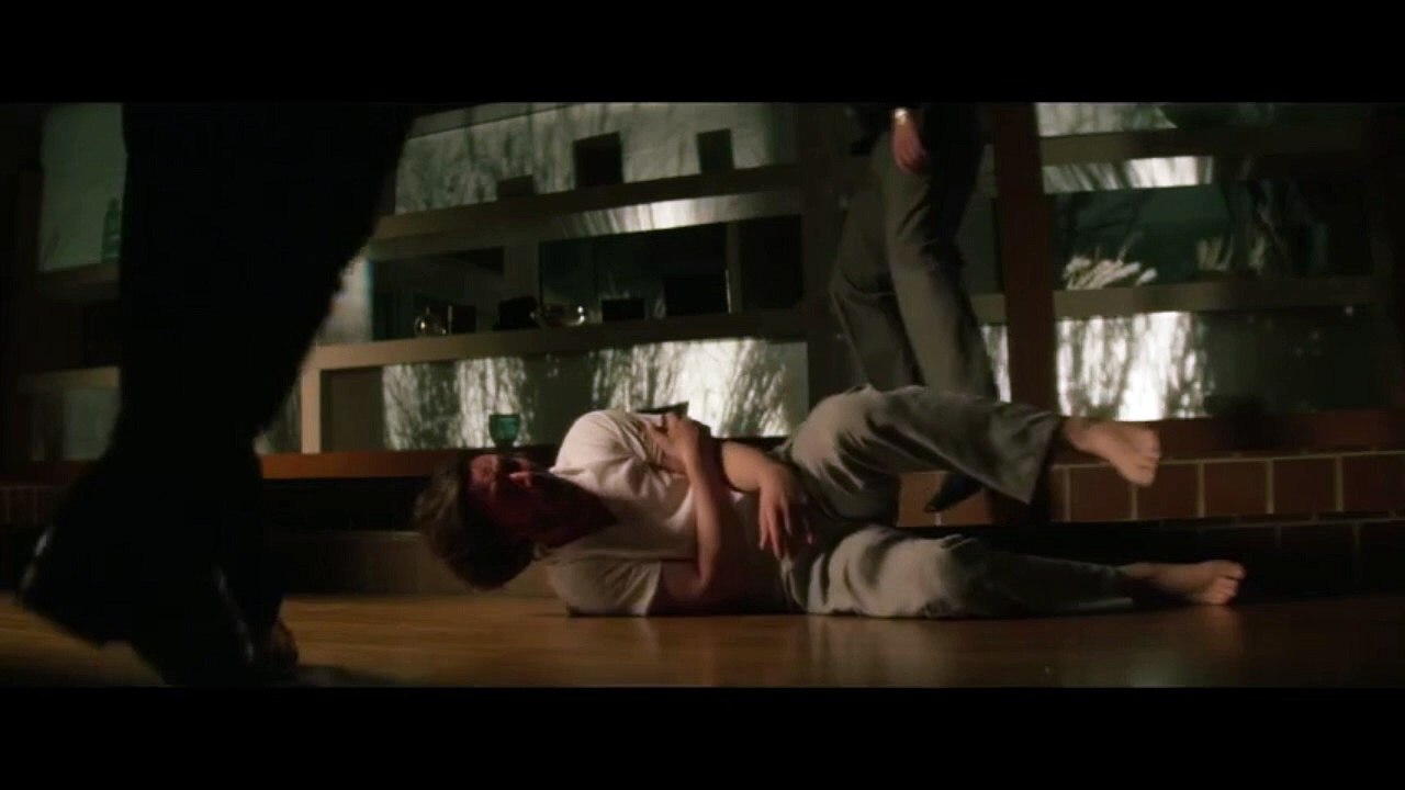 Burglars kill John Wicks dog