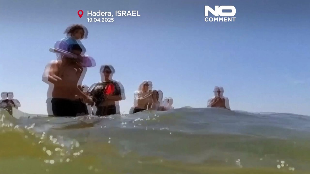 Suche nach vermutetem Hai-Angriff an der israelischen Küste im Gange