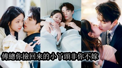 Reborn, she was taken home and doted on by a CEO—her ex now begs in tears for another chance - Drama Chinese