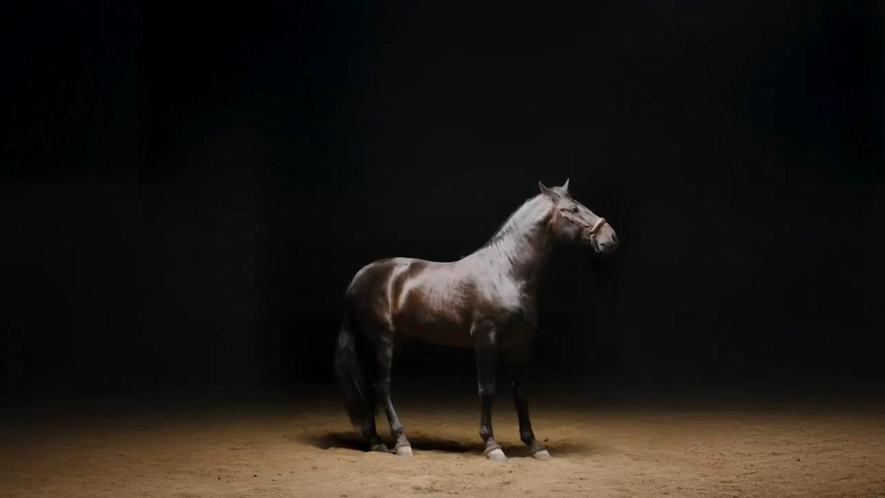El spot publicitario publicado por el Ayuntamiento de Caravaca de la Cruz para promocionar la fiesta de los Caballos del Vino.