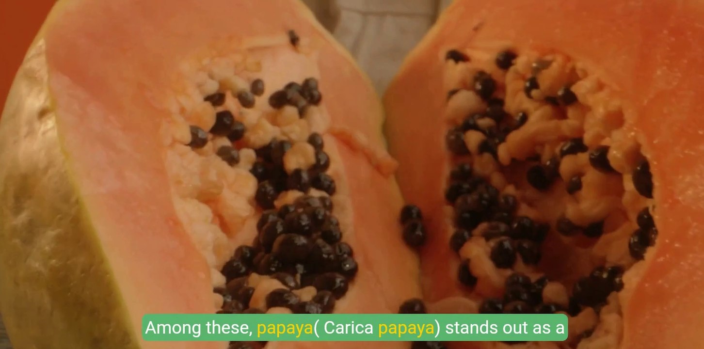 Unlocking the Power of Papaya Seeds_ Health Benefits You Can't Ignore!