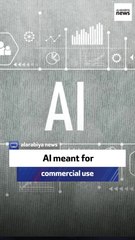 AI Company CEO Confirms Focus on Commercial Applications 🚀