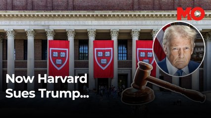 Harvard University sues Trump administration over grant cancellation