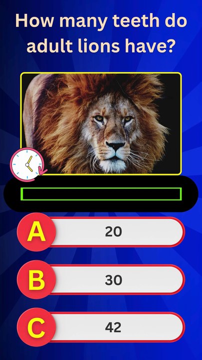 How Much Do You Know About Lion Teeth? 🦁 | Fun Animal Quiz Challenge!