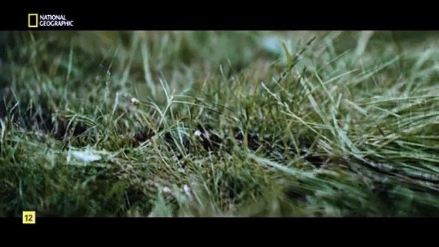 Documental Brujas, más allá de la leyenda: 4- Suecia, la leyenda de Blakulla