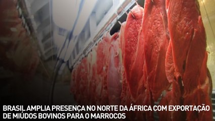 Brasil amplia presença no Norte da África com exportação de miúdos bovinos para o Marrocos