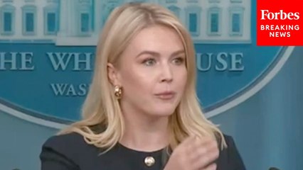 Reporter Asks Karoline Leavitt Point Blank: How Many Illegal Immigrants Do We Have In Our Country?