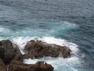 Donostia/San Sebastian : la mer