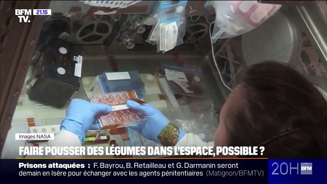 Sciences: faire pousser des légumes dans l'espace pour faire des économies, une solution envisageable ?