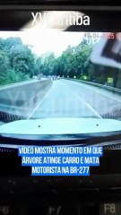 Vídeo mostra momento em que árvore atinge carro e mata motorista na BR-277