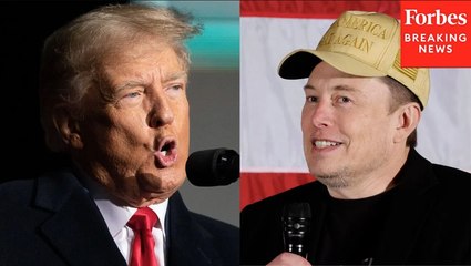 Dem Lawmaker Accuses Musk And Trump Of 'Looting The Federal Government And Stripping It For Parts'