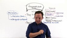46DC Responsabilidade Civil