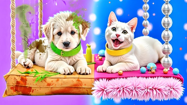 Nous avons construit une maison secrète pour animaux ! 🐱🏠 DIY Pet Room Makeover