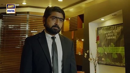 Naqaab Episode 37 Ali Ansari Humayoun Ashraf Hina Tariq Ghana Ali 22nd April 2025 ARY Digital