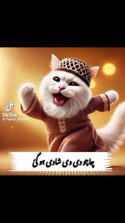 MERI SHADI KA NUMBER
