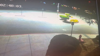 Really? Stealing From The Girl Scouts: Two Men Take Off With Stolen Statue