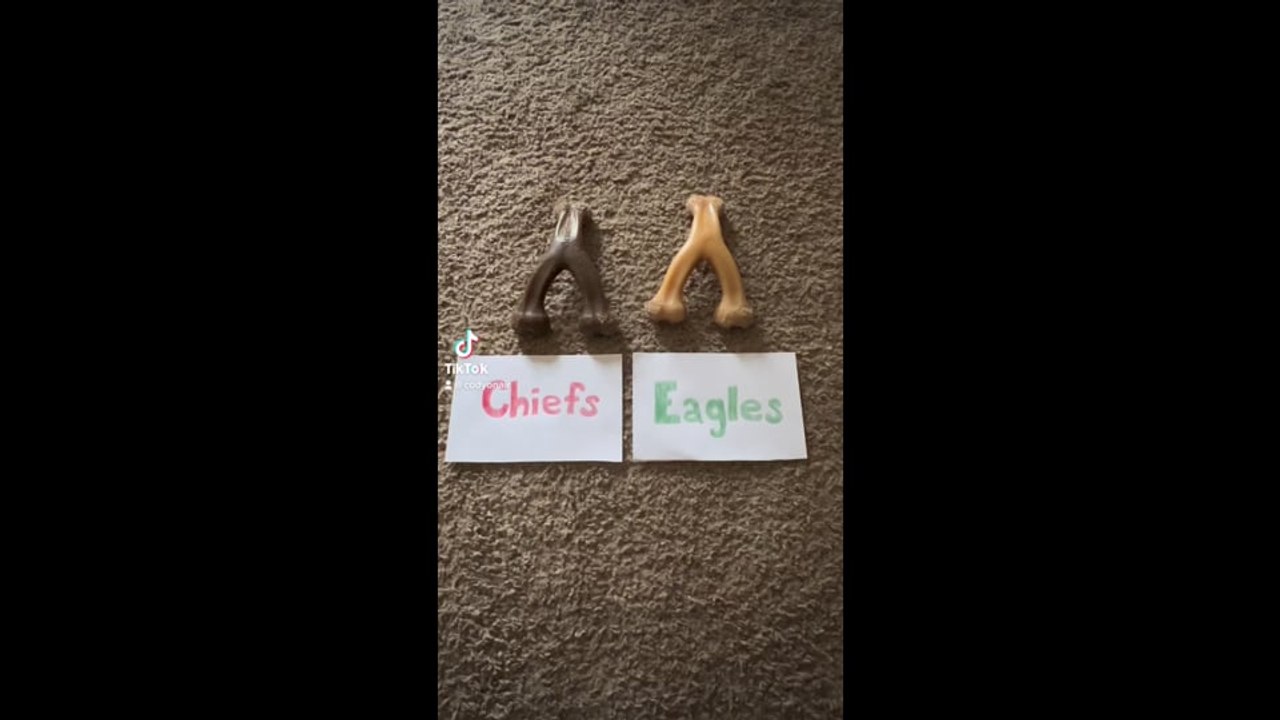 Waylon’s Big Game Prediction