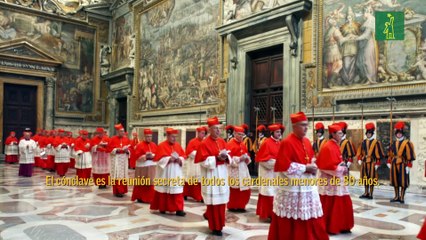 ¿Cómo se elige al sucesor del papa Francisco