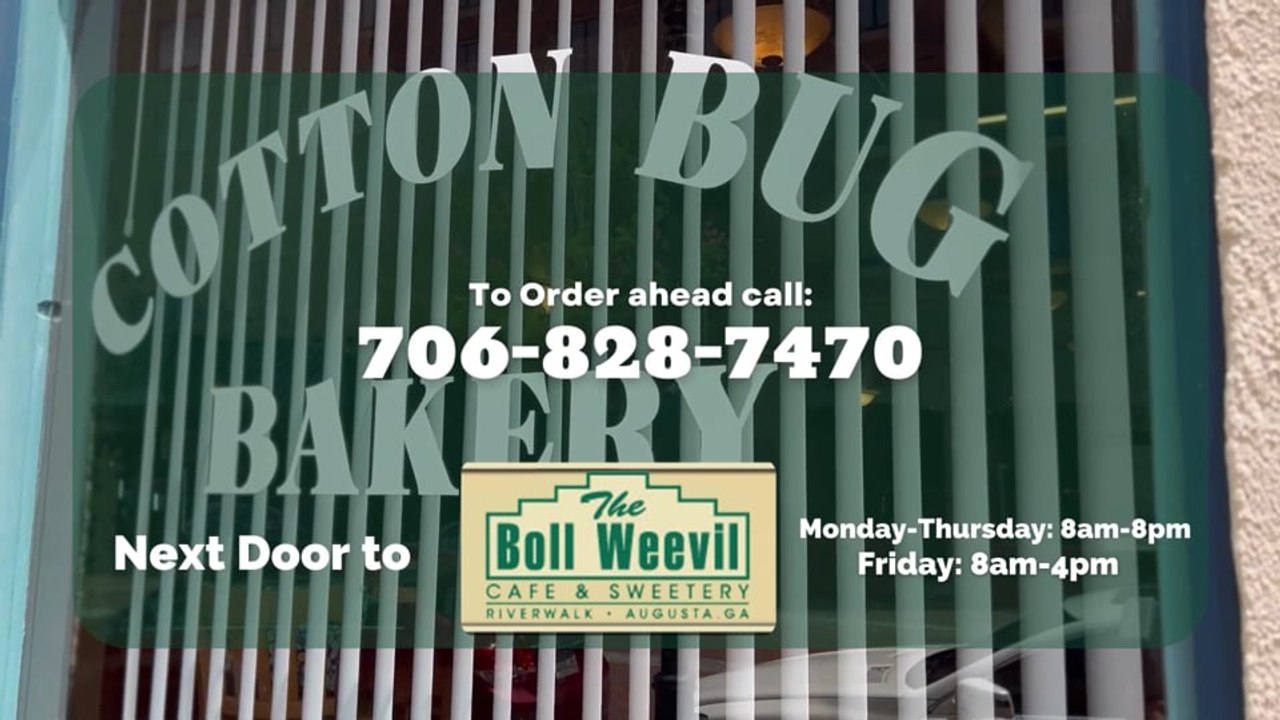 Boll Weevil - July