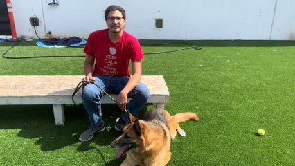 NSPCA Adopt A Pet: Meet Tidus, The German King Shepard