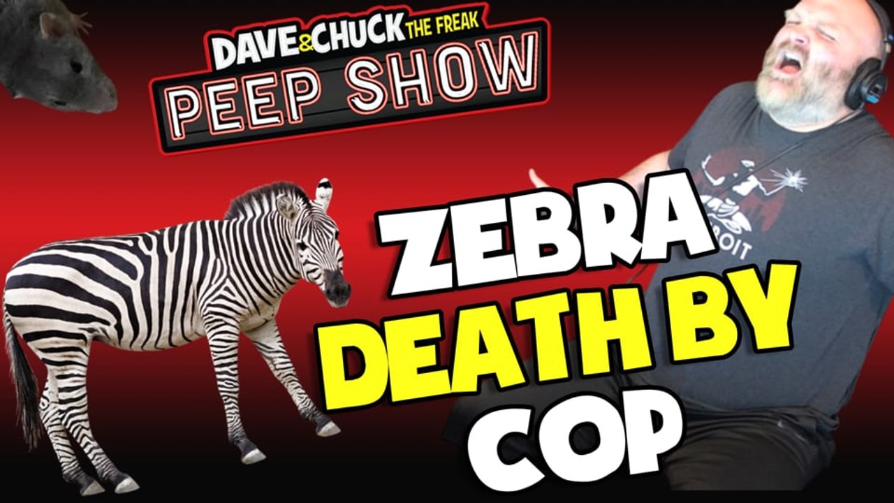 Peep Show: Zebra Death By Cop