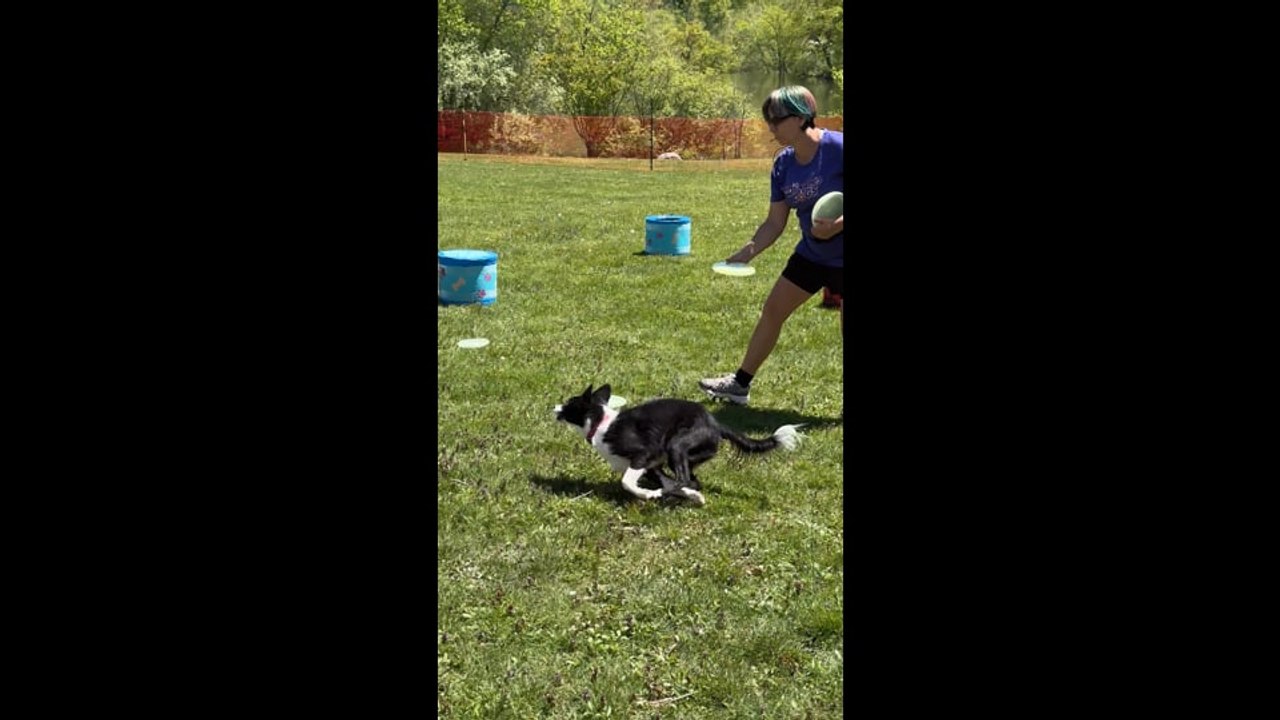 Frisbee Catching
